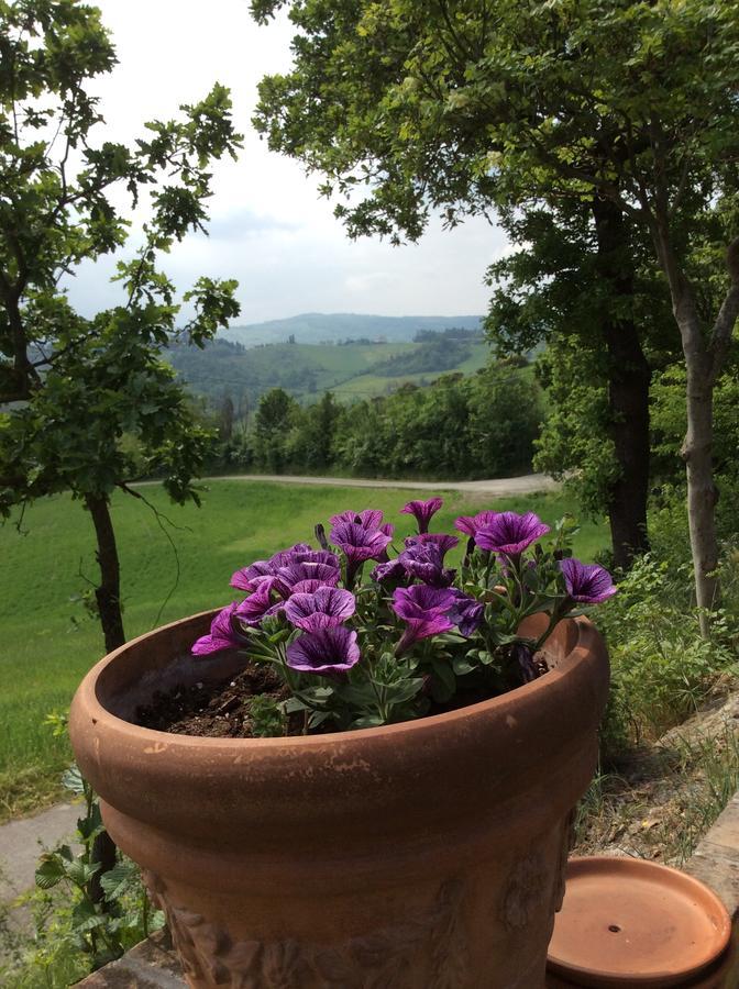 Hotel Agriturismo Ca Lunati Castelletto Mendosio Exterior foto